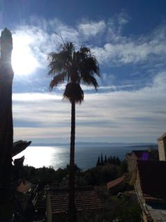 Holiday Home Rubinić - Zavala - 3