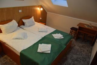 Pension Larisa - Arad - 1