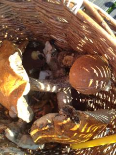 Horský Penzion Černava - 2