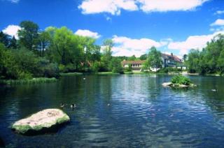 Hotel Kilian - Braunlage - 9