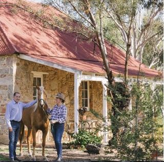 Dempster Cottage - 9