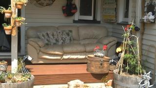 Barbs Place - Waipara - 4