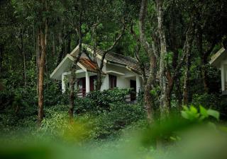 Dhanagiri Homestay Wayanad - Vythiri - 8