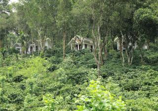 Dhanagiri Homestay Wayanad - Vythiri - 2