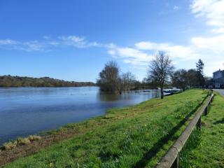 Chambres d'Hôtes Vignes et Loire - Drain - 3