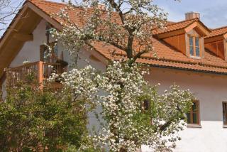 Ferienwohnung Amato - Murnau am Staffelsee - 7