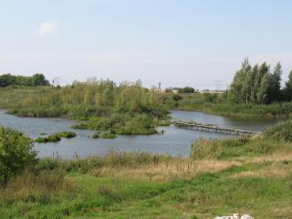 Dworek u Leszczyńskich - Gościszewo - 4