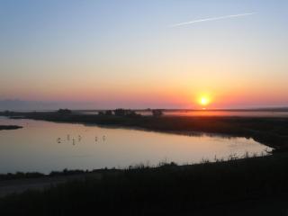 Chambre les flamants, avec vue imprenable sur les étangs, les oiseaux, la nature, petit déjeuner compris - Saintes-Maries-de-la-Mer - 0
