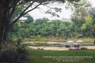 The Harmony Resort - 8