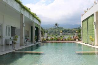 Villa Putih Lovina - Lovina - 1