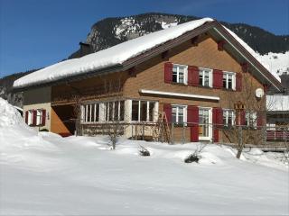 Haus Stabentheiner - Au im Bregenzerwald - 2