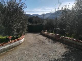 Casa fra gli ulivi di Giuseppe - Sonnino - 3