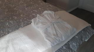 B&B de Valkenhorst - Lelystad - 4
