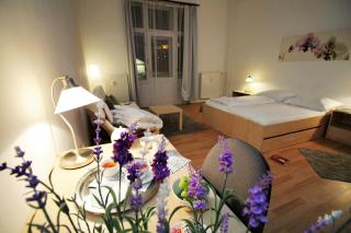 7nights Apartments Dominikánské naměstí - Brno - 8