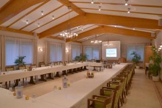 Parkhotel zum Stern - Oberaula - 9