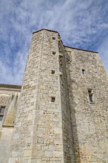 Chateau De Champdolent - Champdolent - 1