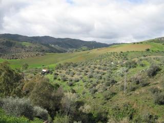 Molino de Las Tablas - Ríogordo - 8