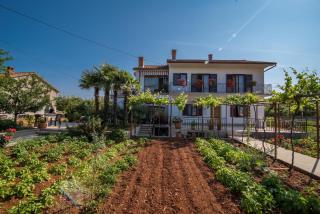 Apartman Ana - Krk - 7