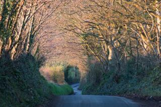 St Kew Escapes Nr Port Isaac - Saint Kew - 8