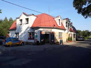 Pension u Adršpachu - Dana Tyšerová - Janovice - 8
