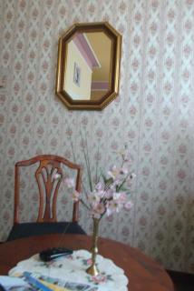 Pension Vogtländer - Plauen - 9
