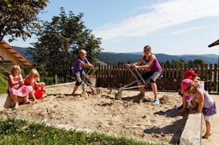 Erlebnishof Reiner - Urlaub auf dem Bauernhof - 3