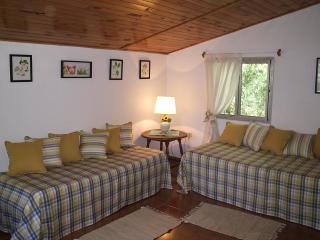 Casas del Abra Vieja - Tigre - 7