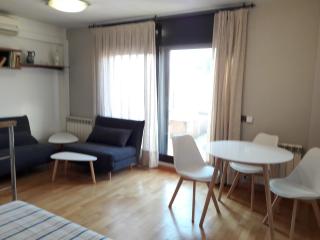 Loft Cal Richi - Tremp - 6