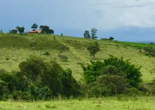 Casa do Alecrim - São Roque de Minas - 3