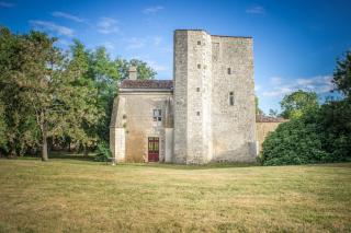 Chateau De Champdolent - Champdolent - 8