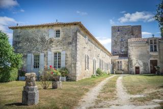Chateau De Champdolent - Champdolent - 5