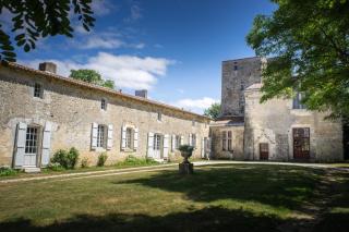 Chateau De Champdolent - Champdolent - 2