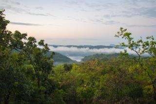 Windy Hills Bungalow - Belihuloya - 2