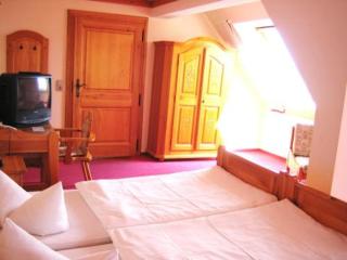 Hotel Schloßblick Trebsen - Trebsen - 7