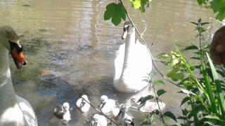 Ô jardin de boutancourt - 1