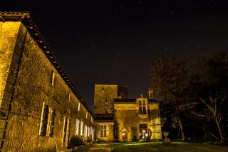 Chateau De Champdolent - Champdolent - 6