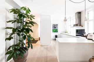 Dinesen Collection Luxury Condos - Copenaghen - 8