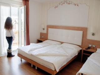 Alphotel Milano - Andalo - 6