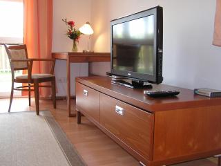 Gonda Apartments - Hradec Králové - 3