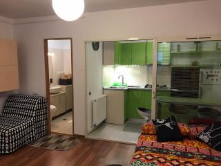 IDEFIX apartment - Cluj-Napoca - 4