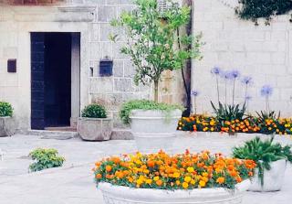 Apartment Stern - Perast - 9