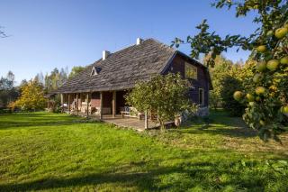 Dubingiai summerhouse - Dubingiai - 6