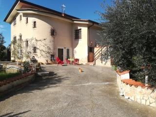 Casa fra gli ulivi di Giuseppe - Sonnino - 0