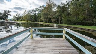 Barefoot Suite - Orlando - 1