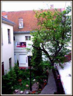 Hostel Freedom - Toruń - 7