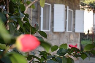 OLD TOWN STUDIOS - Budva - 8