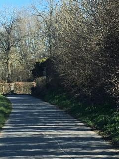 Annex - Oudenaarde - 7
