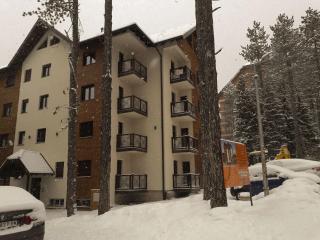 Apartman petica Kovačević - Zlatibor - 6