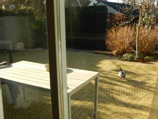 Apartment Amsterdam New West - Free parking - 4