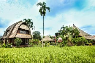 Ubud Hidden Villa Yone village - 4